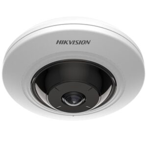 DS-2CD2955G0-IS(U)