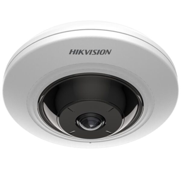 DS-2CD2955G0-IS(U)